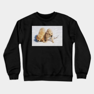 Puppies in Winter Crewneck Sweatshirt